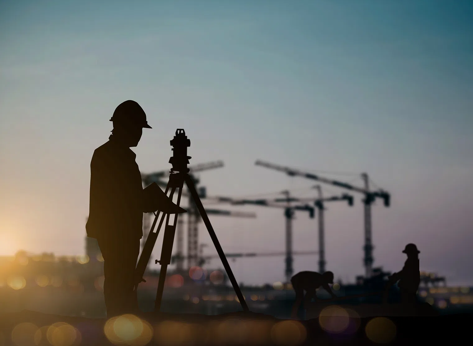 Man surveying in field at sunrise with cranes in background image