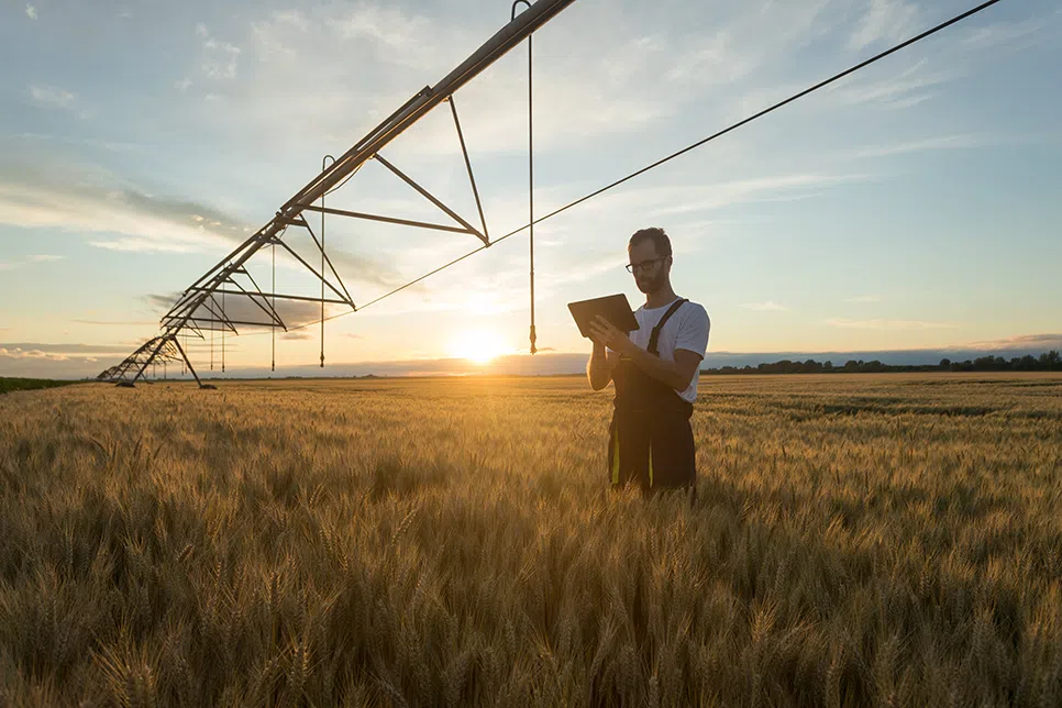 farmer in field of crops checking tablet for machinery image