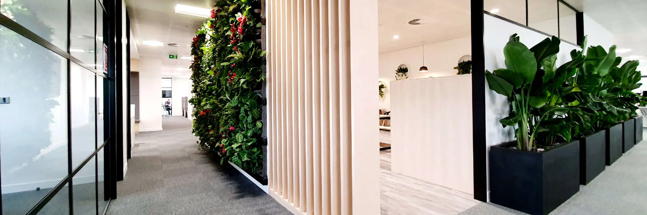 office with plants image