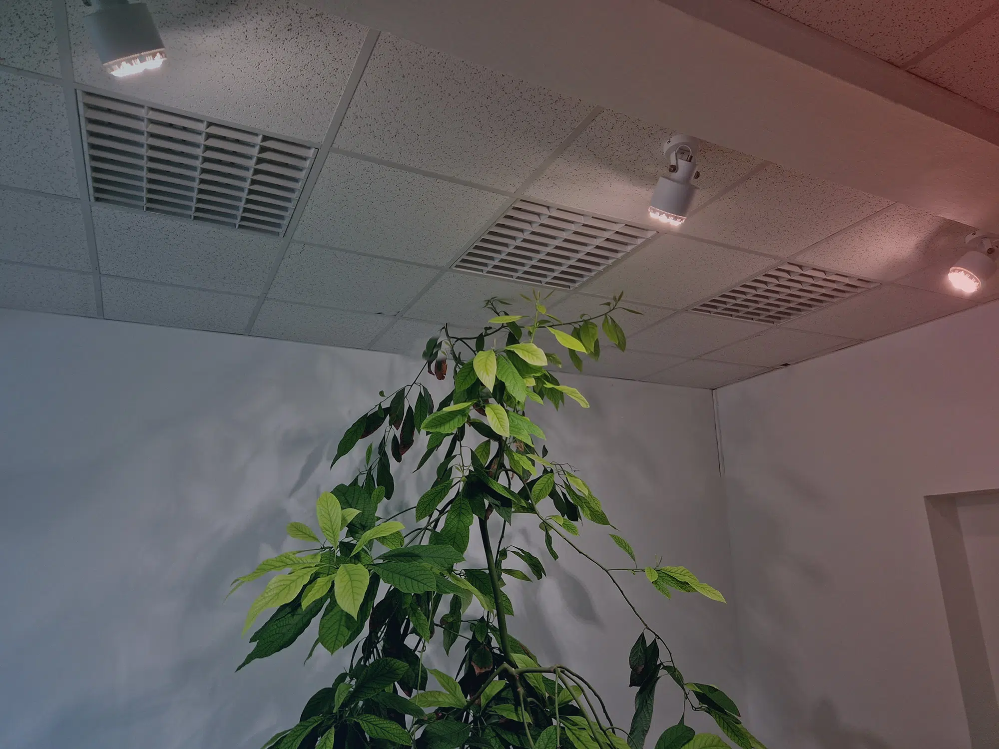 Air Quality and Health