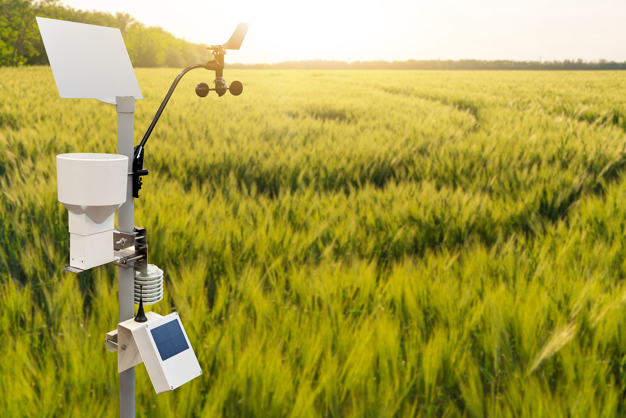 IoT Agriculture sensors
