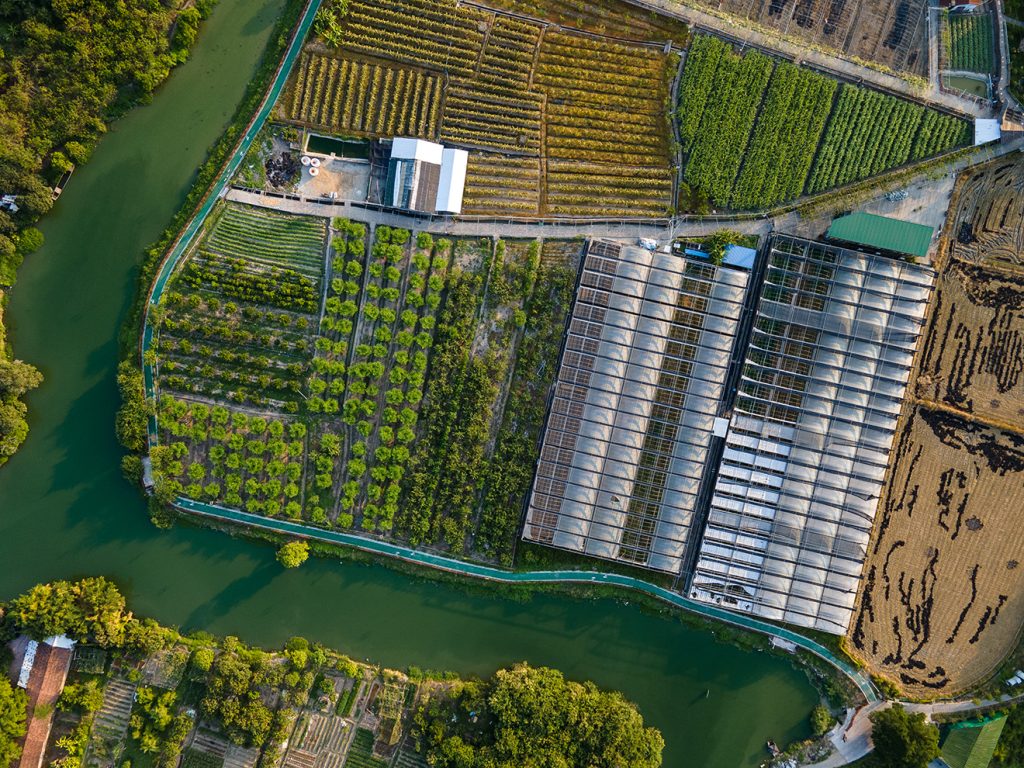 Reducir la brecha digital: LEO, a través del satélite CSL y el futuro de la conectividad agrícola