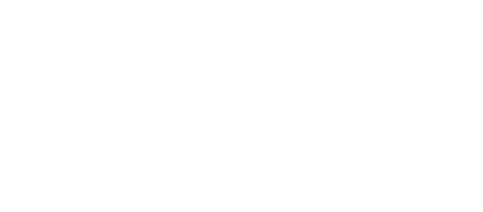 Johnson Controls Logo White