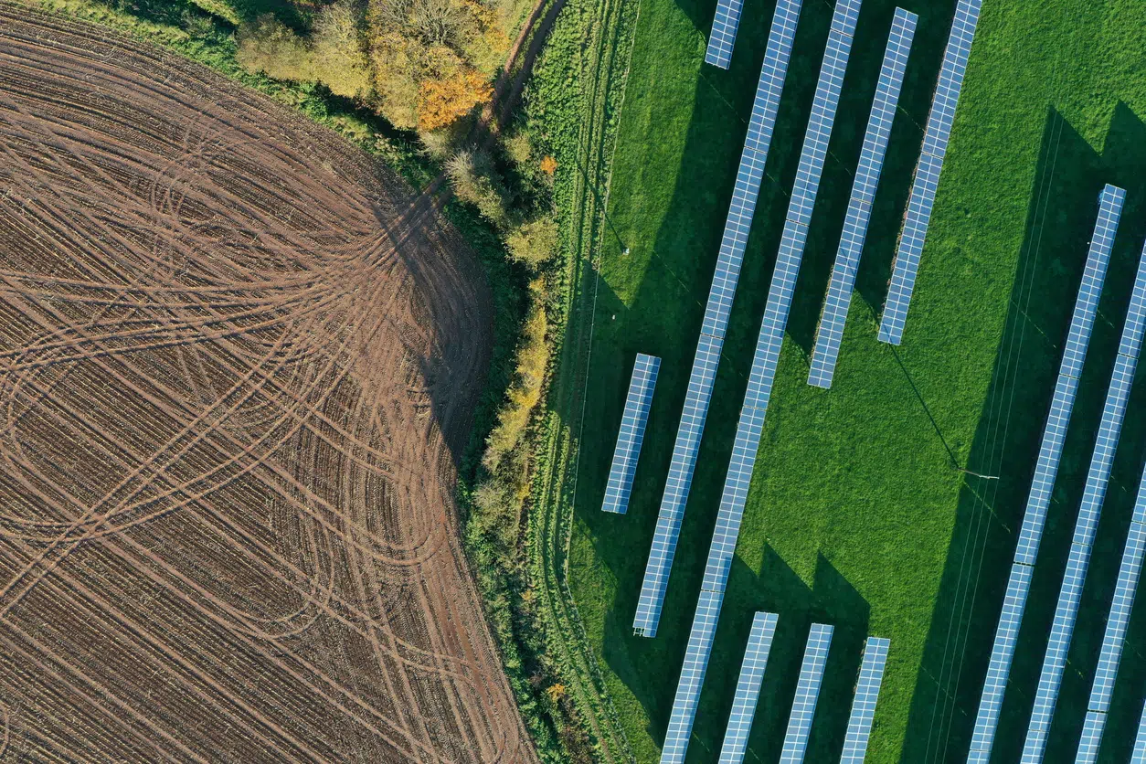 Solar Farm